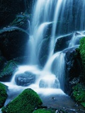 Waterfall in Yosemite National Park Photographic Print by Bill Ross