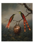 Two Hummingbirds Guarding an Egg Nest Giclee Print by Martin Johnson Heade