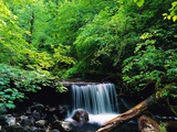 Water Falling onto Rocks and Log Photographic Print by Robert Glusic