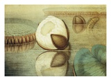 Victoria Regia or the Great Water Lily of America (View of the Form of the Flower...) Giclée-Druck von William Sharp