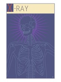 X-Ray Giclee Print by Steve Collier Studio 