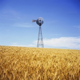 Windmill in Wheat Field Photographic Print by Paul Edmondson