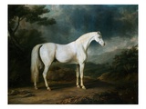 White Horse in a Wooded Landscape Giclee Print by Sawrey Gilpin