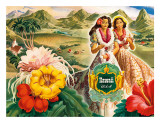 Hawai (EE.UU.) Arte por Andre Hawai (EE.UU.) Arte por Andre