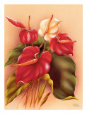 Anturios rojo y blanco Lámina giclée por Frank Oda
