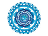 Water Spiral, Hawaiian Humpback Whale Mandala Giclee Print by Jozef Smit Water Spiral, Hawaiian Humpback Whale Mandala Giclee Print by Jozef Smit