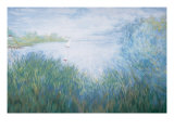Sailboats on a Lake Giclee Print by Mark Hunt