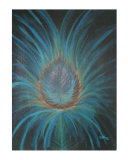 Feather Giclee Print by Lindsay Clark