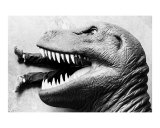 John J Robertson - T-rex - Fotografik Baskı John J Robertson - T-rex - Fotografik Baskı