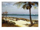 Tropical Coast Giclee Print by Albert Bierstadt