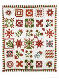 An Appliqued Cotton Album Quilt, circa 1852 Reproduction procédé giclée par Francina Stout Van Dyke