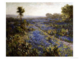 Field of Texas Bluebonnets and Prickly Pear Cacti Impressão giclée por Julian Robert Onderdonk
