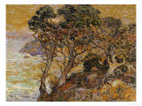 Point Lobos, Monterey Coast Lámina giclée por Franz Arthur Bischoff