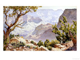 Grand Canyon Giclee Print by Gunnar Widforss