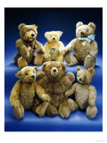 A Collection of Steiff Teddy Bears Giclee Print by Steiff 