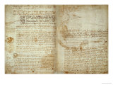 The Codex Hammer Pages 48-51 reproduction procédé giclée par Leonardo da Vinci 