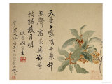 Cassia Lámina giclée por Yun Shouping Cassia Lámina giclée por Yun Shouping