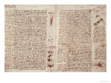 The Codex Hammer Giclee Print by Leonardo da Vinci 