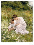 Picking Daisies, 1905 Giclée-Druck von Hermann Seeger