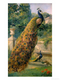 Peacocks in the Park, 1886 Giclée-Druck von Olaf August Hermansen
