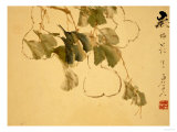 Gourds Giclee Print by Xu Gu