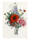 Collection Des Fleurs et Des Fruits, 1805 Giclee Print by Jean Louis Prevost