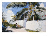 A Garden in Nassau, 1885 reproduction procédé giclée par Winslow Homer