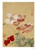 Mohnblumen Giclée-Druck von Yun Shouping
