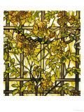 Trumpet Vine Leaded Glass Window Lámina giclée por Tiffany Studios Trumpet Vine Leaded Glass Window Lámina giclée por Tiffany Studios