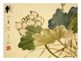 Fleurs de lotus Reproduction procédé giclée par Xu Gu