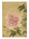 Peony Giclee Print by Yun Shouping