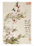 Willow and Peach Blossoms Giclée-Druck von Li Shan