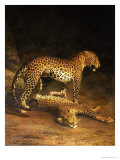 Two Leopards Lying in the Exeter Exchange, 1808 Giclée-Druck von Jacques-Laurent Agasse