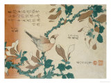 A Paddy Bird Perched on a Flowering Magnolia Branch from the Series 