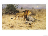 A Lion with His Prey Giclee Print by Wilhelm Kuhnert