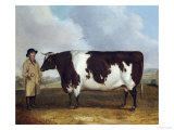 A Prize Friesian Bull with a Cowherd in a Landscape Giclee Print by Richard Whitford