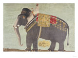 Portrait of the Elephant "Alam-Guman Gajraj", circa 1650 Giclee Print