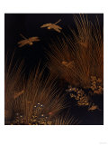 Dragonflies, Crickets and a Ladybird Among Grasses and Flowers, 19th Century Giclee Print