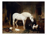 Stable Companions Reproduction procédé giclée par John Frederick Herring I