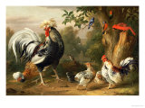 Poultry and Other Birds in the Garden of a Mansion Giclee-trykk av Jacob Bogdany