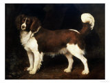 A Spaniel in a Landscape, 1784 Giclee Print by George Stubbs