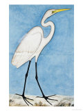 A Great Egret, Lucknow School, circa 1790 reproduction procédé giclée