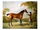 Tristram Shandy, a Bay Racehorse Held by a Groom in an Extensive Landscape, circa 1760 reproduction procédé giclée par George Stubbs
