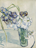 Vase of Carnations, c.1890 Reproduction procédé giclée par Vincent van Gogh