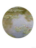 Waterlilies, Nympheas Giclee Print by Claude Monet