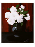 White Camelias Giclee Print by James Stuart Park