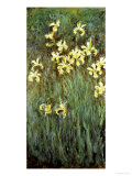 Yellow Irises Giclee Print by Claude Monet