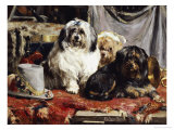 Circus Entertainers reproduction procédé giclée par Charles Van Den Eycken