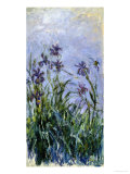Iris Mauves, 1914-1917 Reproduction procédé giclée par Claude Monet
