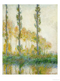 The Three Trees, Autumn, 1891 Giclee Print by Claude Monet